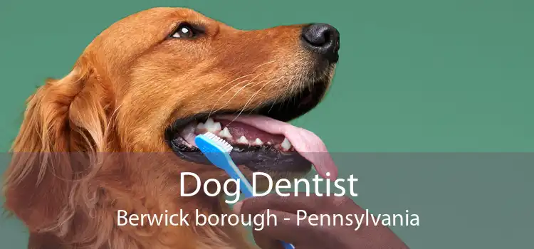 Dog Dentist Berwick borough - Pennsylvania