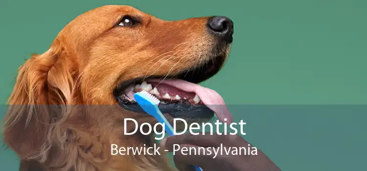 Dog Dentist Berwick - Pennsylvania