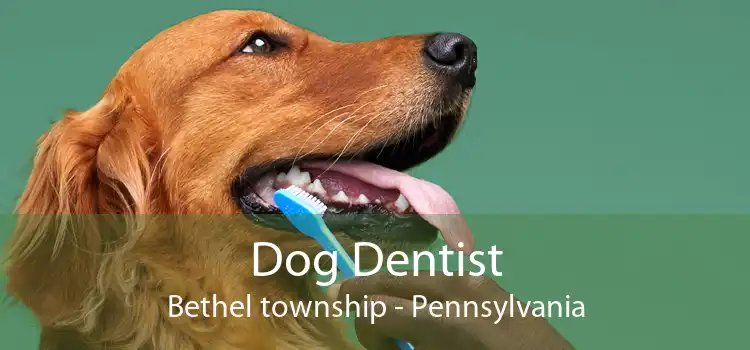 Dog Dentist Bethel township - Pennsylvania