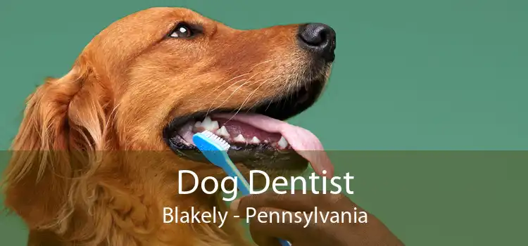 Dog Dentist Blakely - Pennsylvania