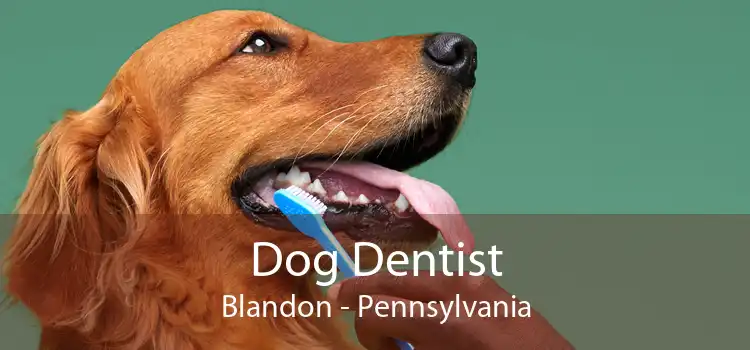 Dog Dentist Blandon - Pennsylvania