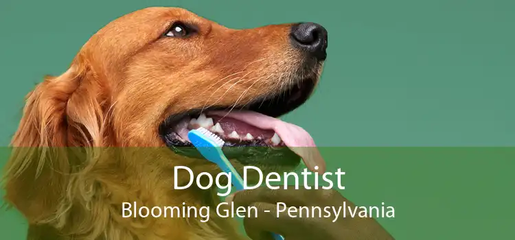 Dog Dentist Blooming Glen - Pennsylvania