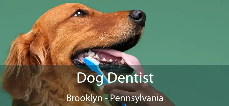 Dog Dentist Brooklyn - Pennsylvania