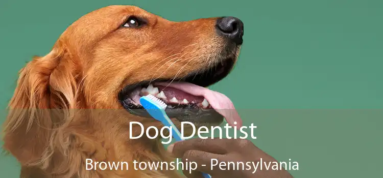 Dog Dentist Brown township - Pennsylvania