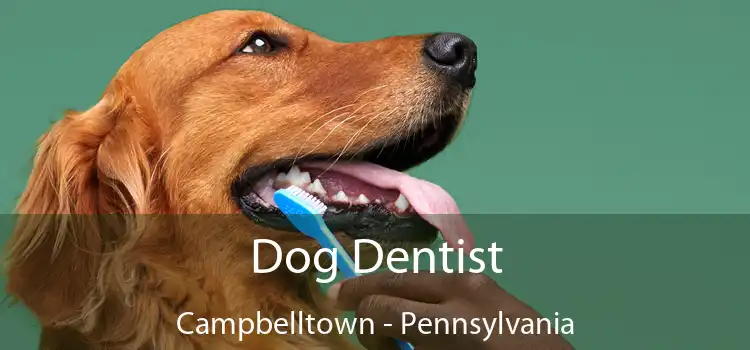 Dog Dentist Campbelltown - Pennsylvania