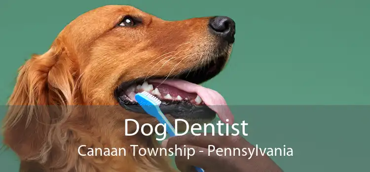 Dog Dentist Canaan Township - Pennsylvania