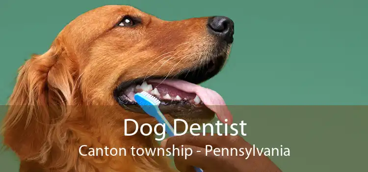 Dog Dentist Canton township - Pennsylvania