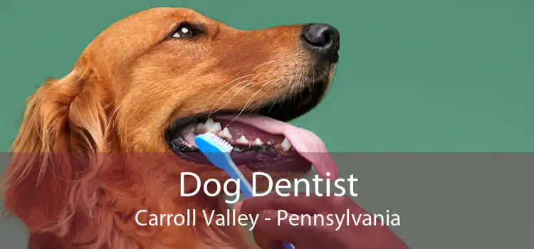 Dog Dentist Carroll Valley - Pennsylvania