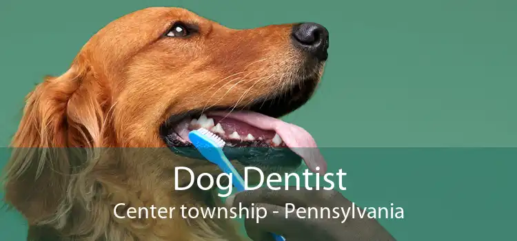 Dog Dentist Center township - Pennsylvania