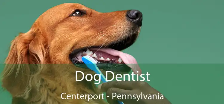 Dog Dentist Centerport - Pennsylvania