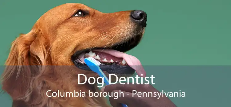 Dog Dentist Columbia borough - Pennsylvania