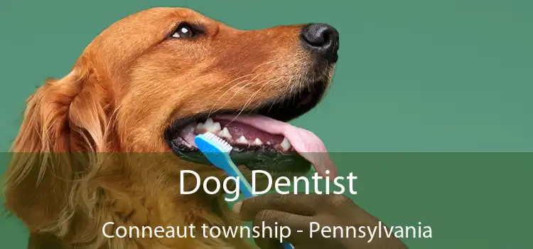 Dog Dentist Conneaut township - Pennsylvania