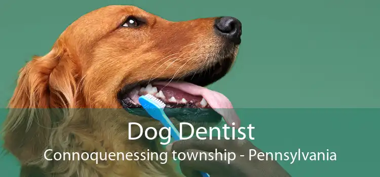 Dog Dentist Connoquenessing township - Pennsylvania