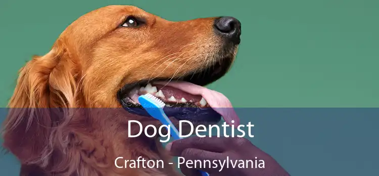 Dog Dentist Crafton - Pennsylvania