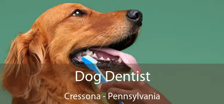 Dog Dentist Cressona - Pennsylvania