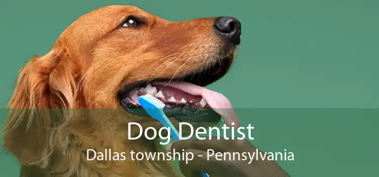 Dog Dentist Dallas township - Pennsylvania