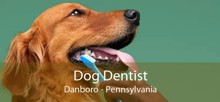 Dog Dentist Danboro - Pennsylvania