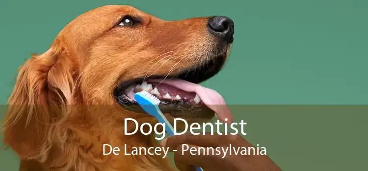 Dog Dentist De Lancey - Pennsylvania