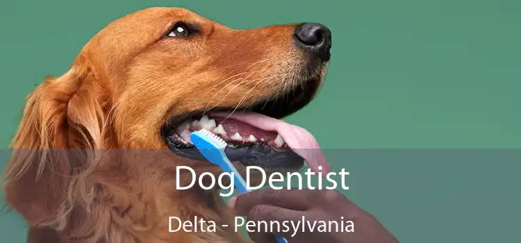 Dog Dentist Delta - Pennsylvania