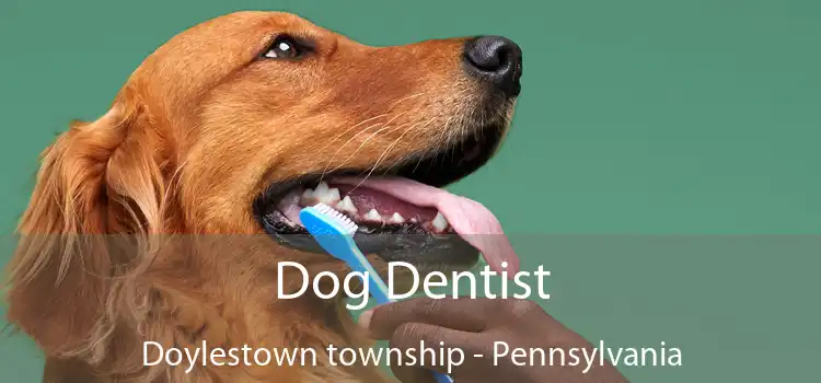Dog Dentist Doylestown township - Pennsylvania