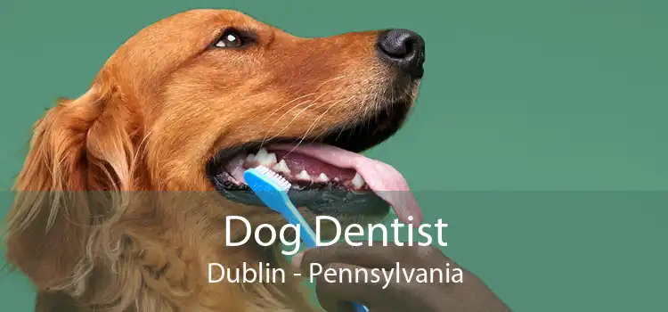 Dog Dentist Dublin - Pennsylvania