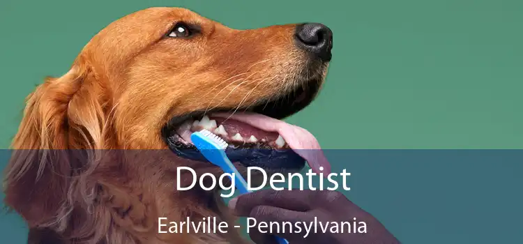 Dog Dentist Earlville - Pennsylvania