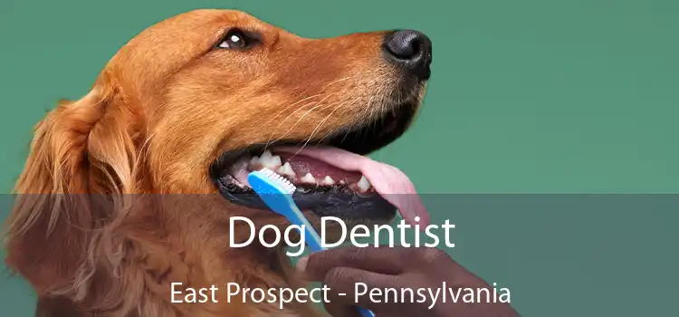 Dog Dentist East Prospect - Pennsylvania