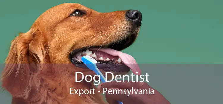 Dog Dentist Export - Pennsylvania