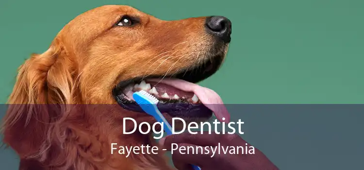 Dog Dentist Fayette - Pennsylvania