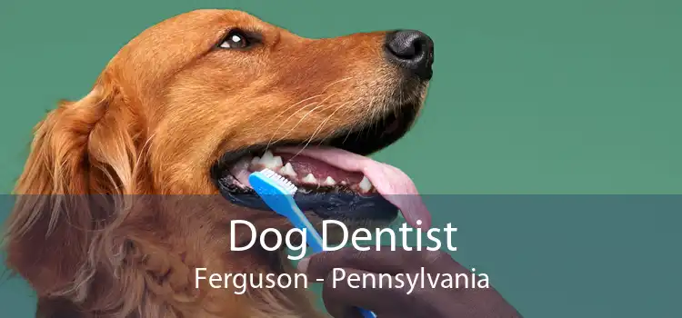 Dog Dentist Ferguson - Pennsylvania