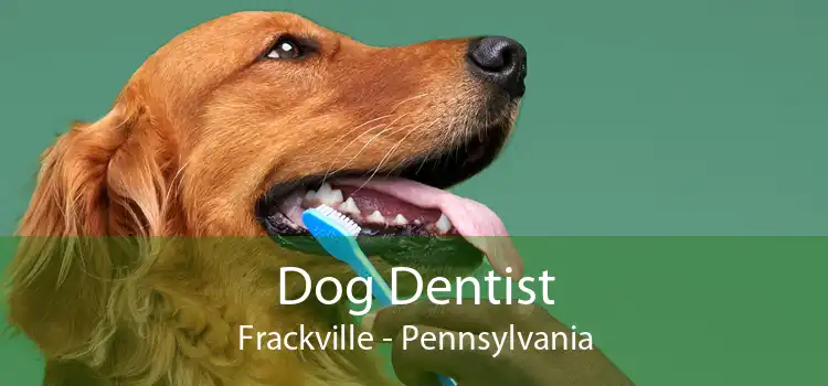 Dog Dentist Frackville - Pennsylvania