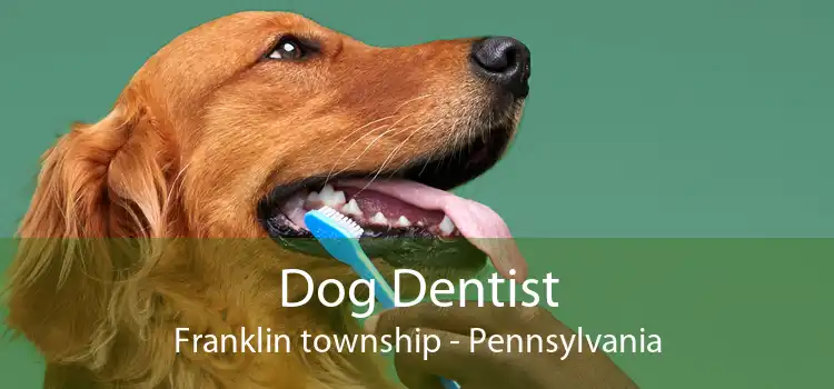 Dog Dentist Franklin township - Pennsylvania