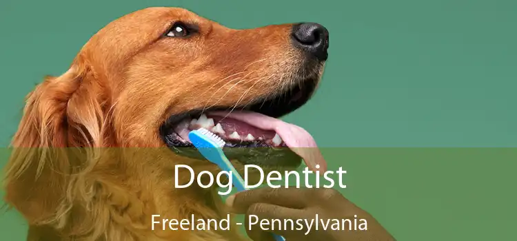 Dog Dentist Freeland - Pennsylvania