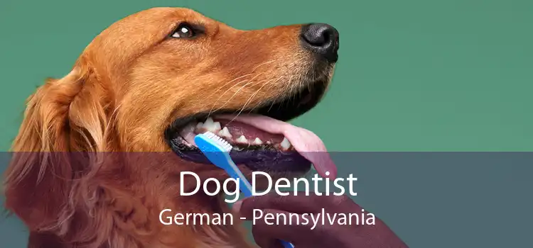 Dog Dentist German - Pennsylvania