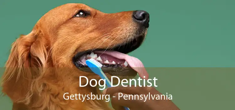 Dog Dentist Gettysburg - Pennsylvania