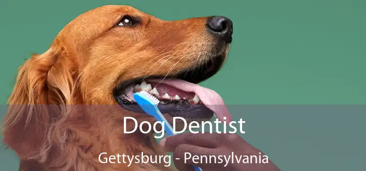 Dog Dentist Gettysburg - Pennsylvania