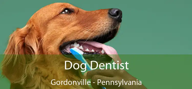 Dog Dentist Gordonville - Pennsylvania