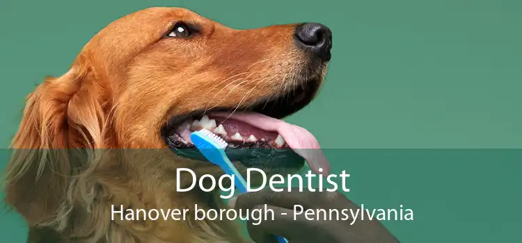 Dog Dentist Hanover borough - Pennsylvania