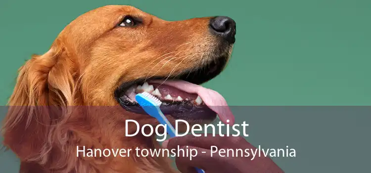 Dog Dentist Hanover township - Pennsylvania
