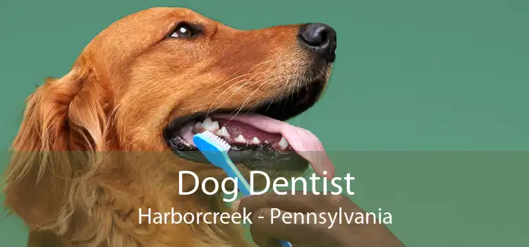 Dog Dentist Harborcreek - Pennsylvania