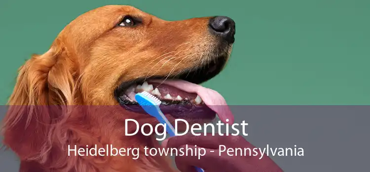 Dog Dentist Heidelberg township - Pennsylvania