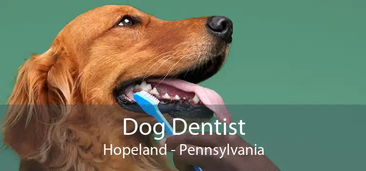 Dog Dentist Hopeland - Pennsylvania