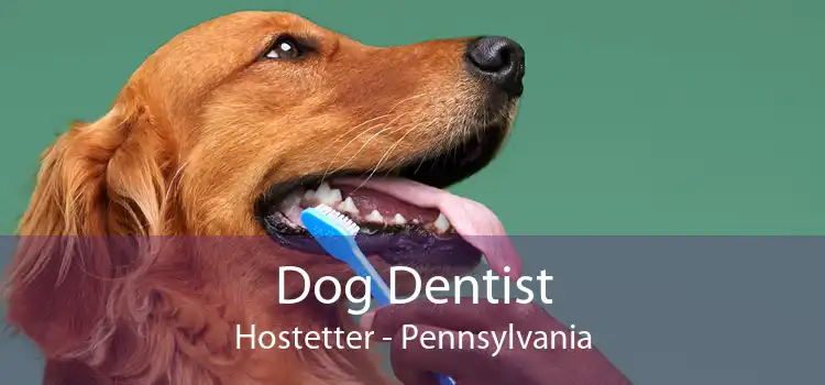 Dog Dentist Hostetter - Pennsylvania