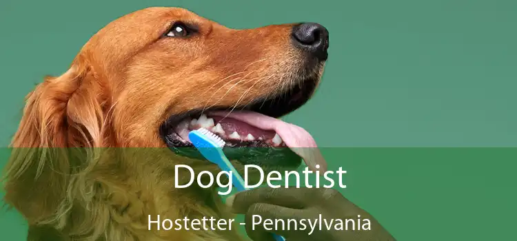 Dog Dentist Hostetter - Pennsylvania