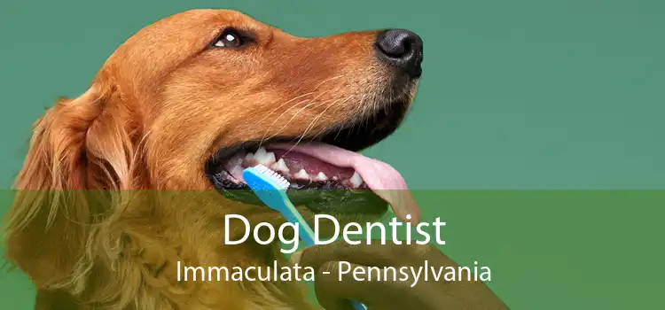 Dog Dentist Immaculata - Pennsylvania