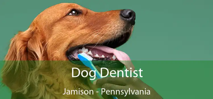 Dog Dentist Jamison - Pennsylvania