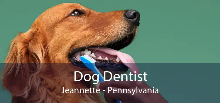 Dog Dentist Jeannette - Pennsylvania