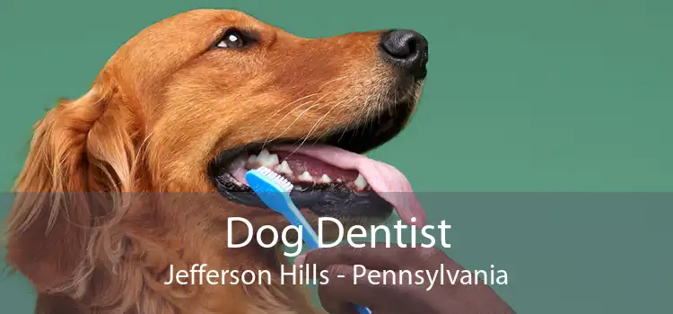 Dog Dentist Jefferson Hills - Pennsylvania