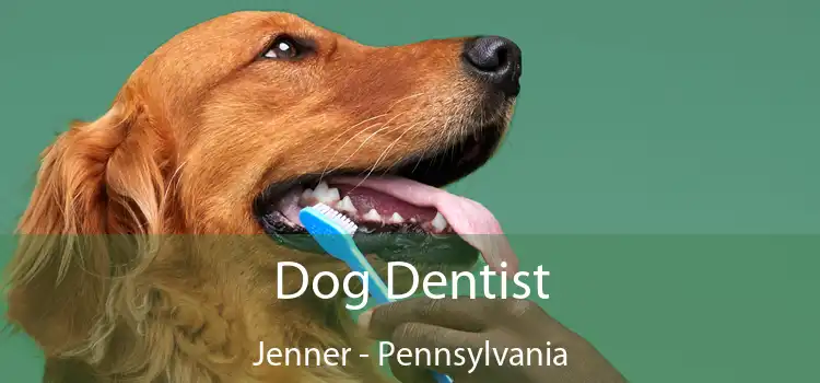 Dog Dentist Jenner - Pennsylvania