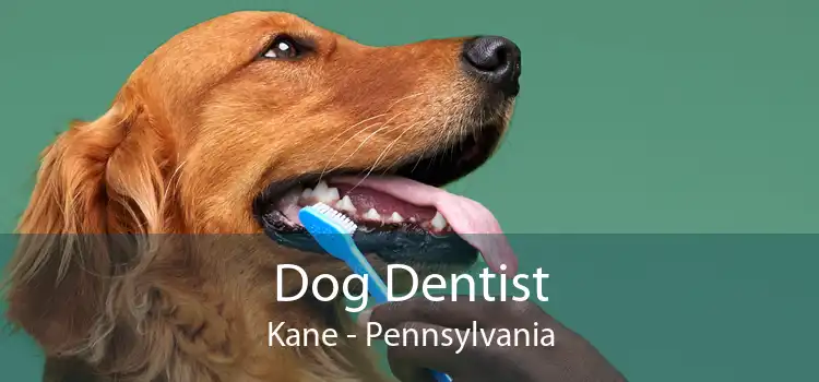 Dog Dentist Kane - Pennsylvania